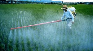 كيف تؤثر المبيدات الزراعية سلبا على بيئتنا؟ - الفلاح اليوم