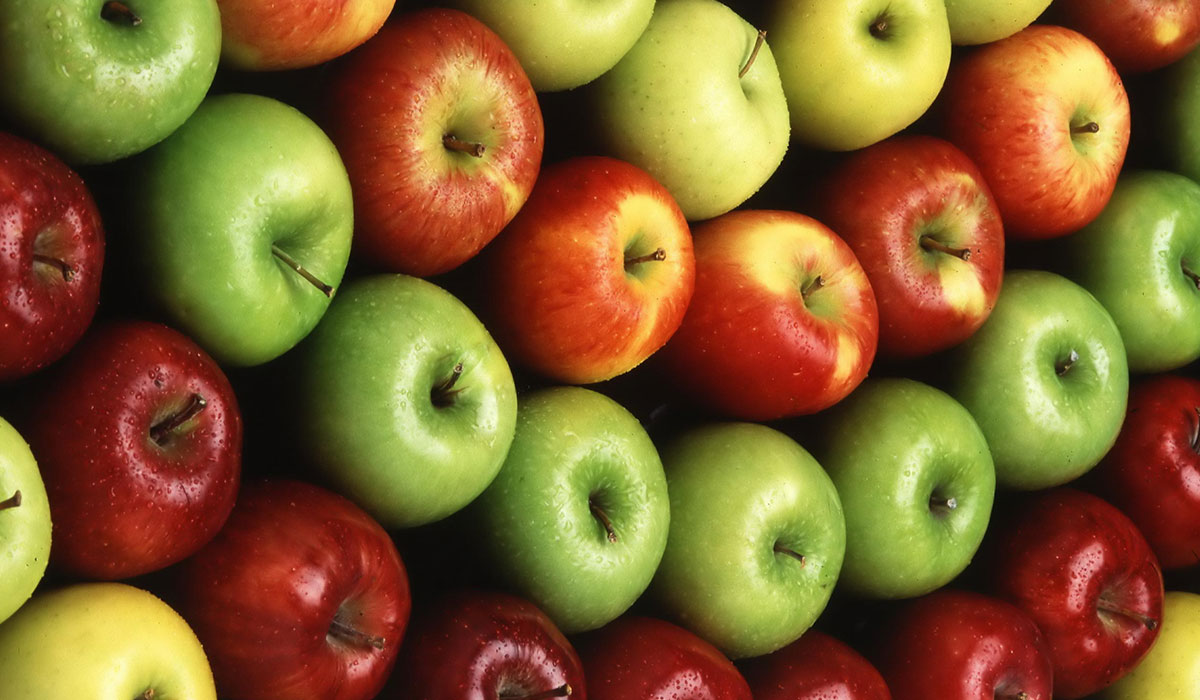 فوائد وأضرار أكل التفاح - الفلاح اليوم