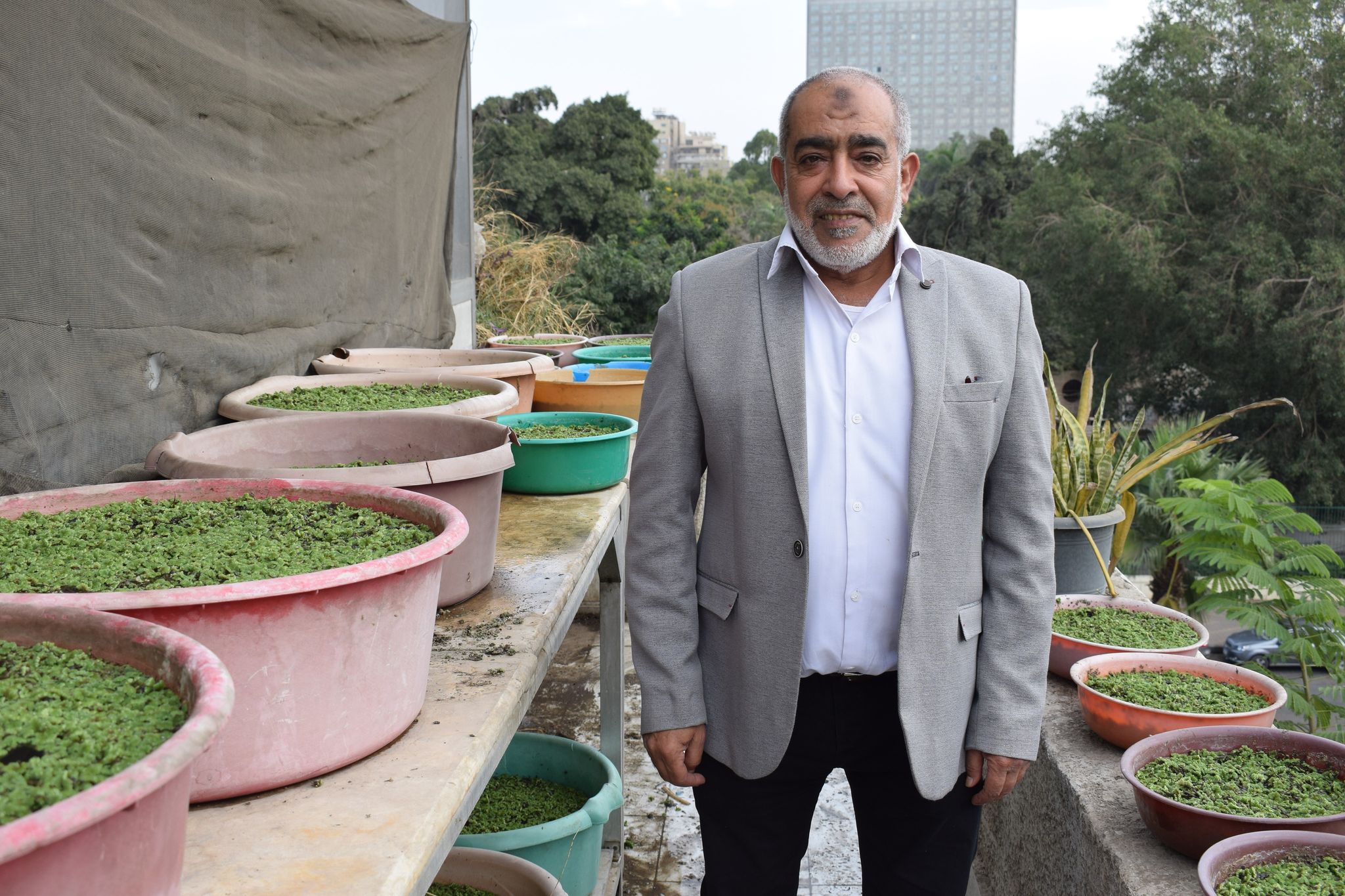 د.رضا الشحات، أستاذ الأزولا بمعهد بحوث الأراضي والمياه والبيئة
