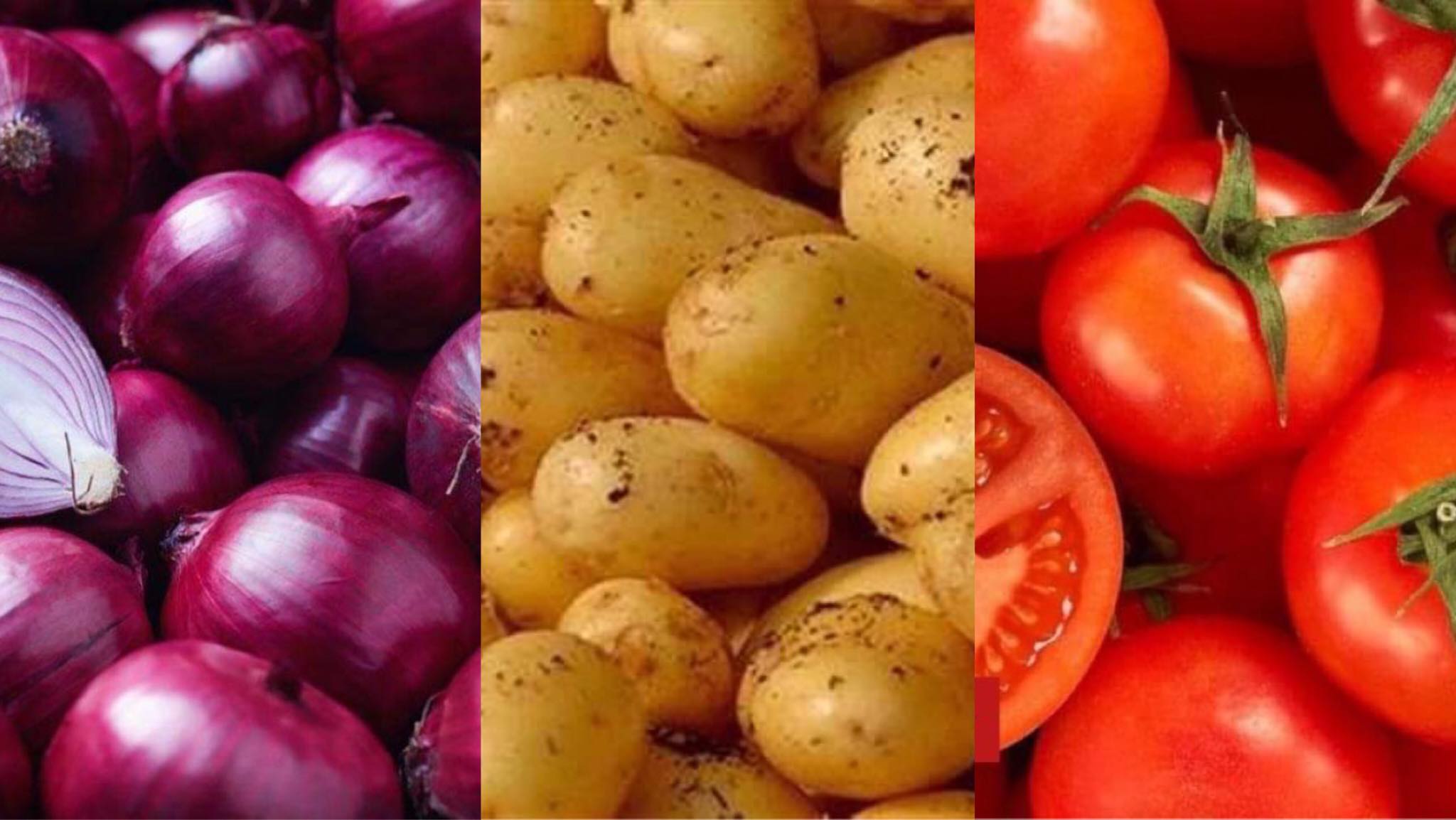 دراسة: الطماطم والبطاطس والبصل أكثر المحاصيل التي يحدث بها أزمات | الفلاح اليوم