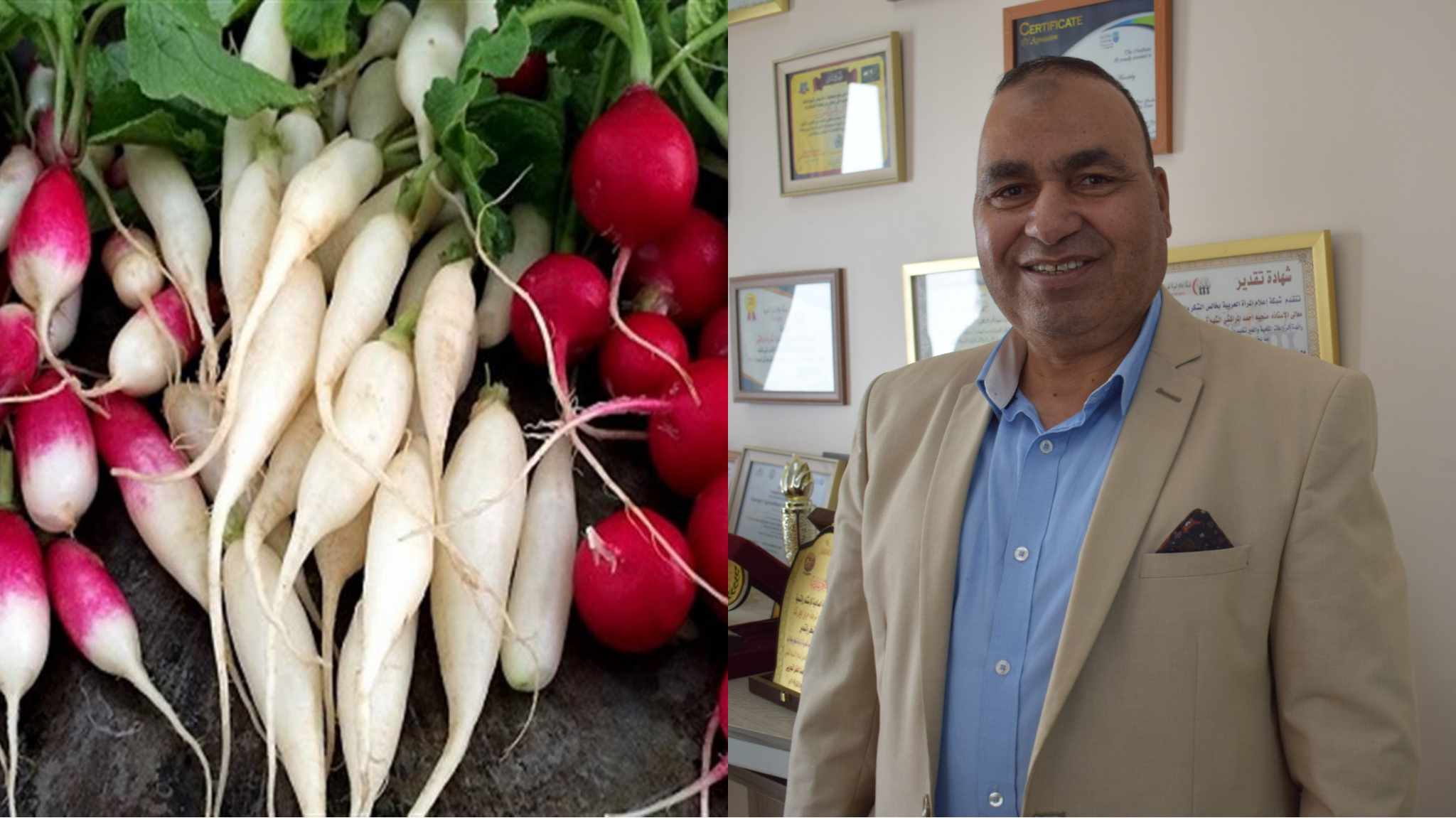 بالتفصيل زراعة الفجل.. ربح عالي وسريع | الفلاح اليوم