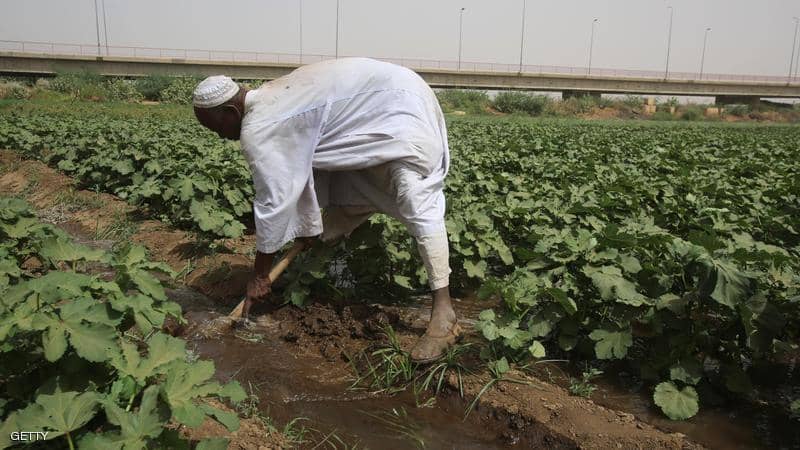 شراقي: سد النهضة يحجز 95% من طمي النيل الأزرق.. وخصوبة أراضي السودان في ...