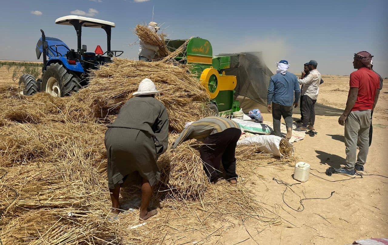 وزارة العمل تعلن وظائف جديدة بالوادي الجديد برواتب تصل لـ19 ألف جنيه